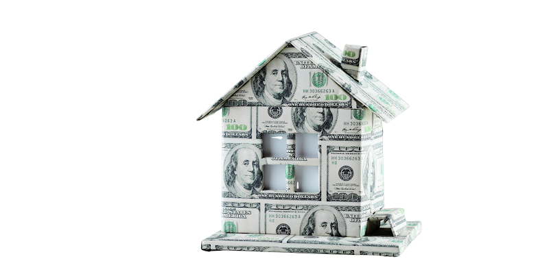 A house made of money